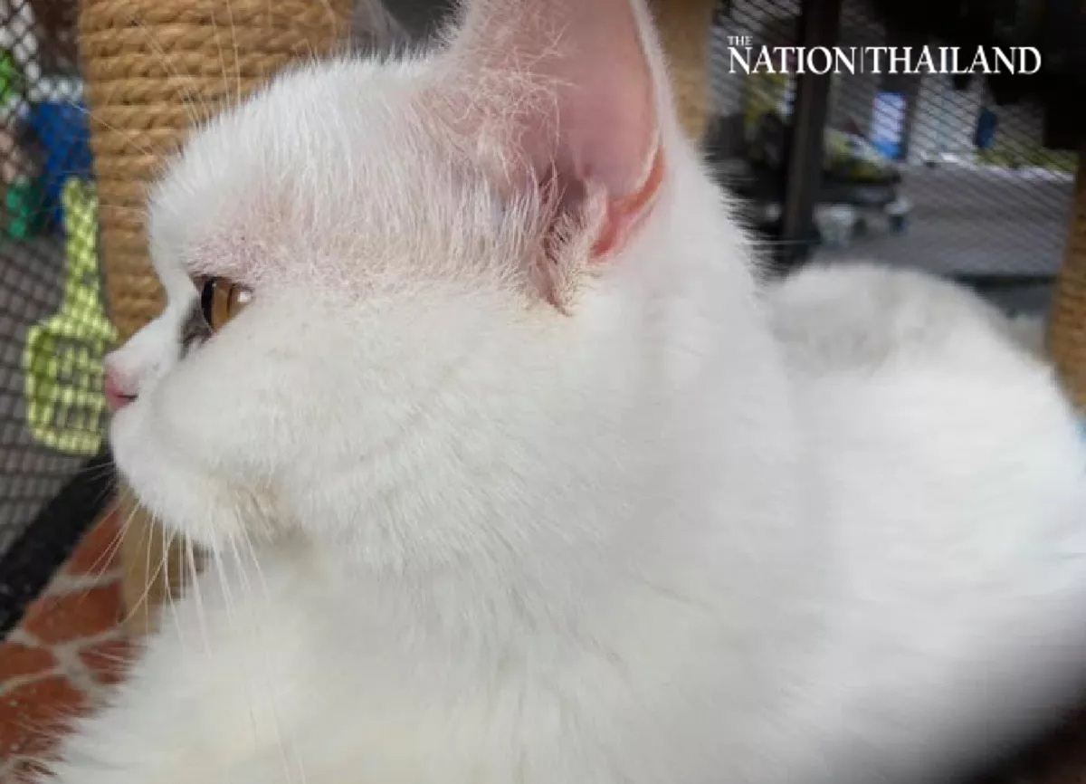 who is dating kim kardashian